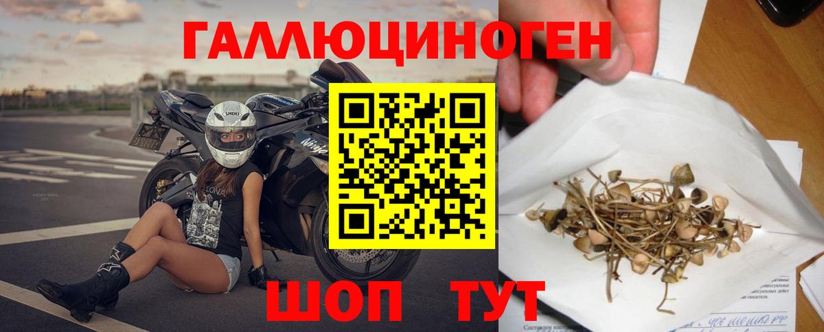 Псилоцибиновые грибы ЛСД  где найти наркотики  Махачкала  Вход с VPN 