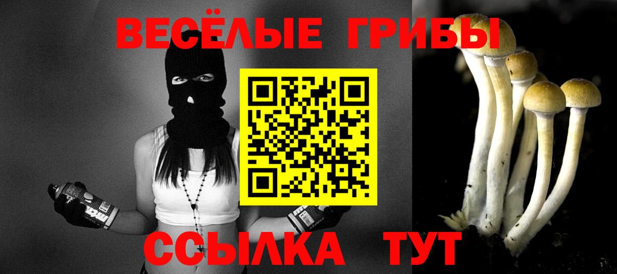 Псилоцибиновые грибы Magic Shrooms Махачкала